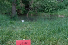 Ringelpietzturnier-2024-web-ziel-feld12