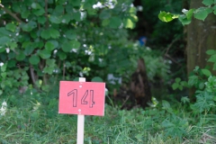 Ringelpietzturnier-2024-web-ziel-feld14