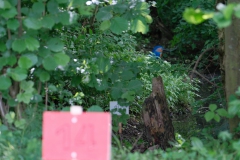 Ringelpietzturnier-2024-web-ziel-feld14a
