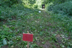 Ringelpietzturnier-2024-web-ziel-feld16