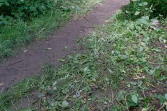 Ringelpietzturnier-2024-web-ziel-feld17