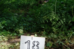 Ringelpietzturnier-2024-web-ziel-feld18a