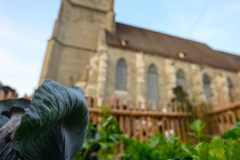 29-SMF2025N-29-von-48