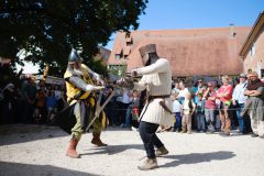 51-TSMF2025N-4-von-8