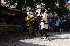 52-TSMF2025N-5-von-8